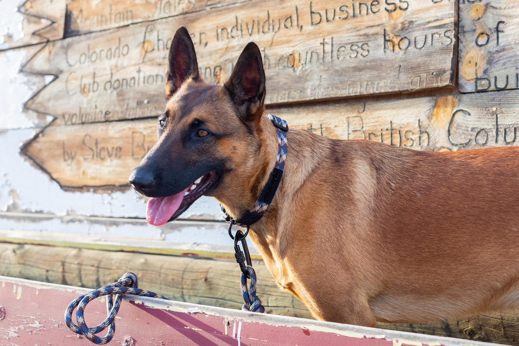 Climbing Rope Dog Leash